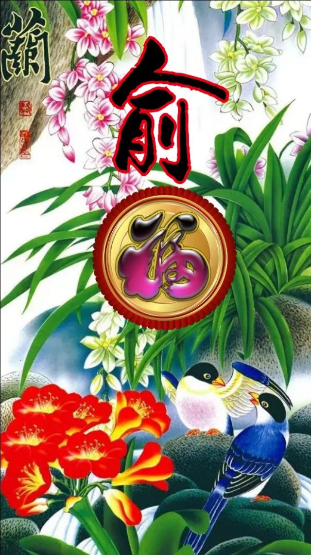 精美兰花壁纸图,兰花高贵壁纸