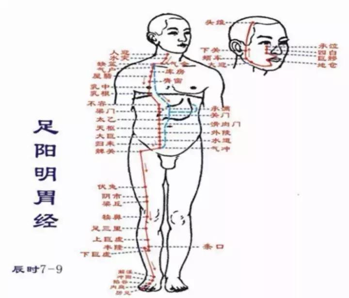 从零学中医按摩,从零学经络第七讲