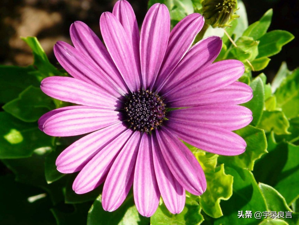 个性签名简短精辟的句子,有深度的个性签名句子短句