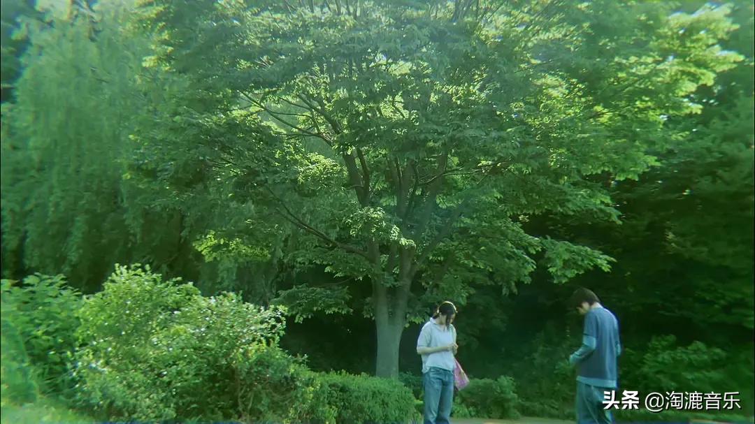 淘漉编辑部的故事：想跟你说说，2020最后一个冬日里的好*光春**