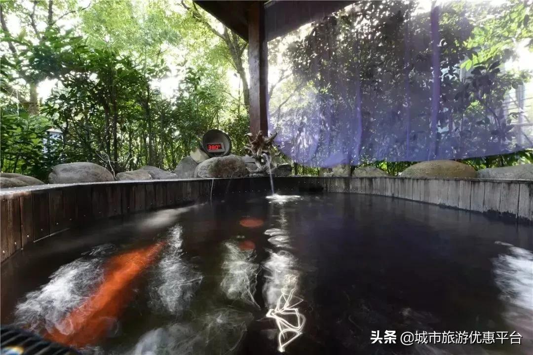 「江浙沪泡汤指南」来了！2020泡泡更灵