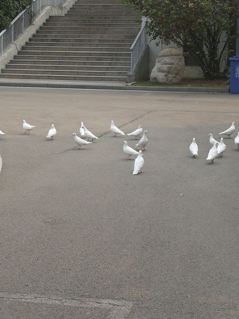光谷实验中学现状,光谷实验中学研学旅行