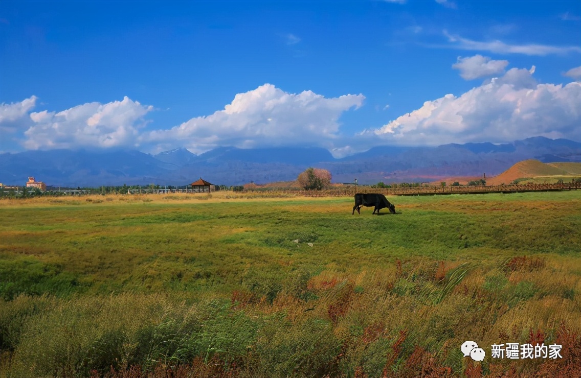 达坂城古迹在哪里,达坂城是个啥地方