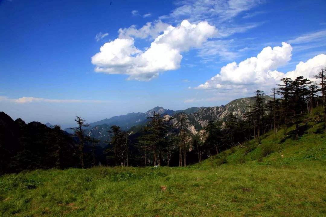 致敬全国最可爱的人,致敬天下最可爱的人