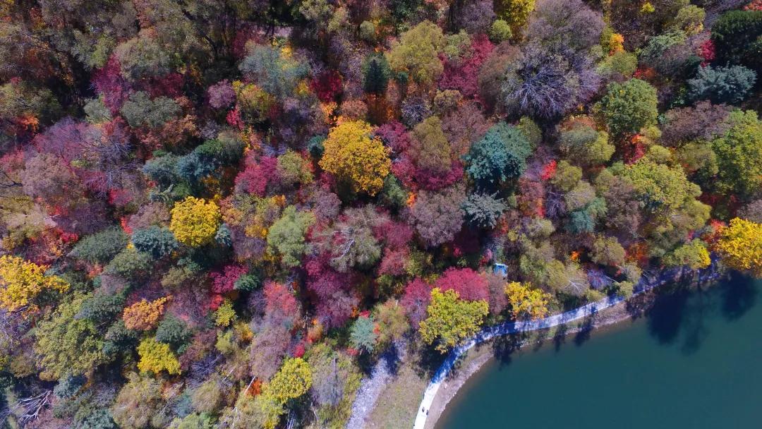 心形岛美景图片,心形岛最美景点