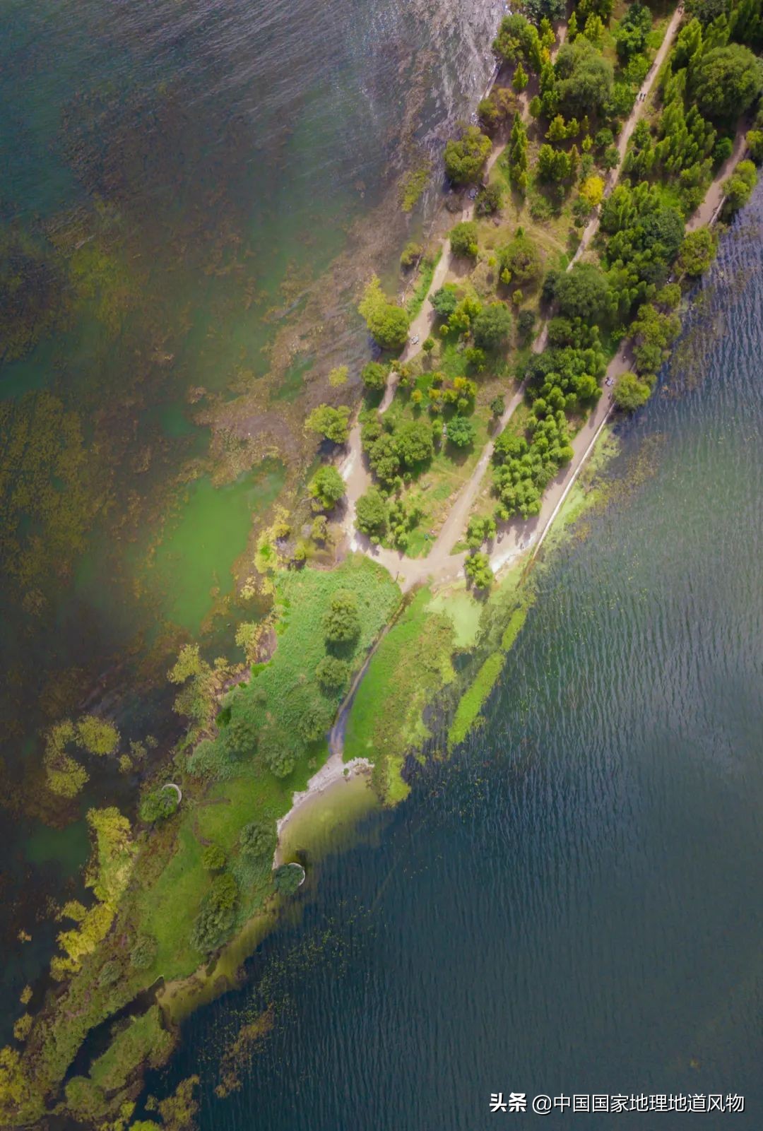 云南有个地方比大理丽江更出名,昆明风景为什么没有大理和丽江好