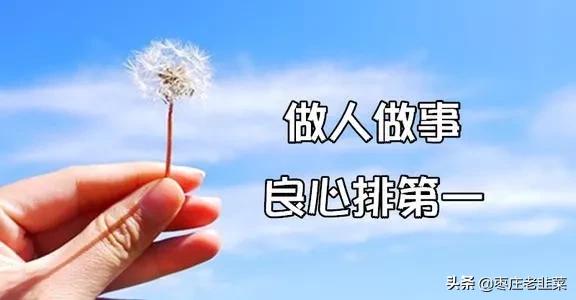 枣庄新建楼盘一览表,目前枣庄市最好的楼盘