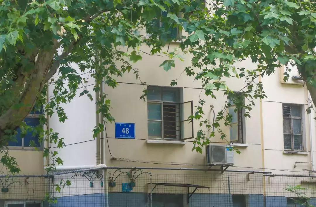 龙江，我不是河西