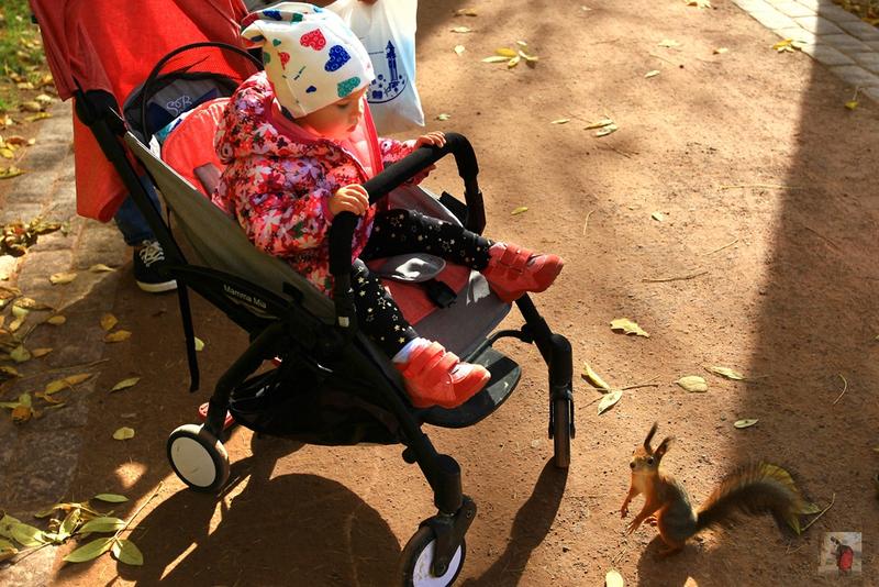 俄罗斯顶级奢华地方,绝美的风景俄罗斯