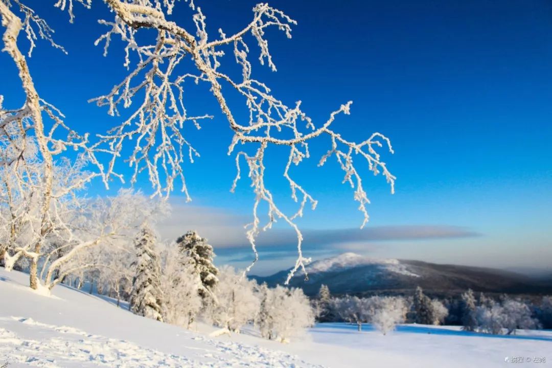 国内这7个绝美雪景地,看到第一个我就想去了!