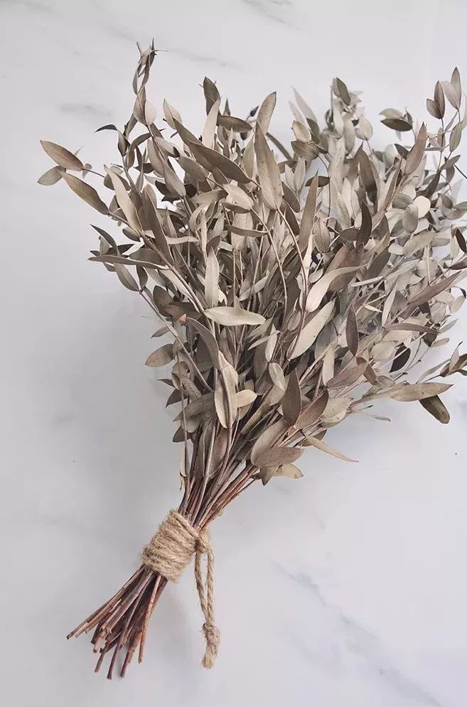 鲜花和干花的不同美感,有哪些花可以制作干花