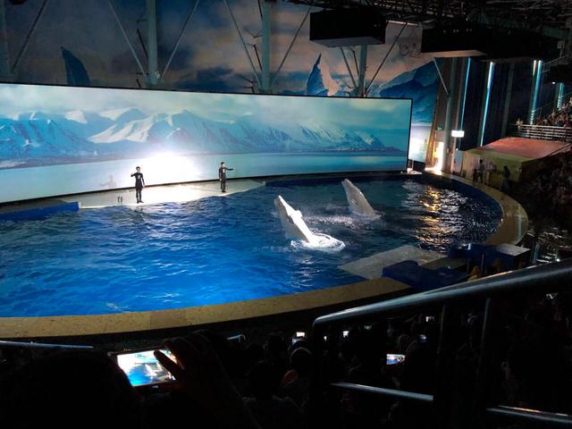 上海旅游有哪些好玩的地方推荐,上海最值得玩的地方有哪些