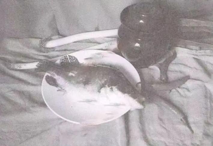 2024美术联考大纲,2022年美术联考各省试题难度排行