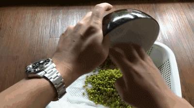 水培蔬菜家庭阳台种菜超简单,不用土在家种菜简单方法