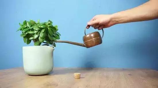 推荐一款好看的家居生活小物件,创意家居用品售价