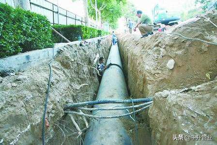 什么树对土壤破坏最严重,哪些植物的根会破坏墙体