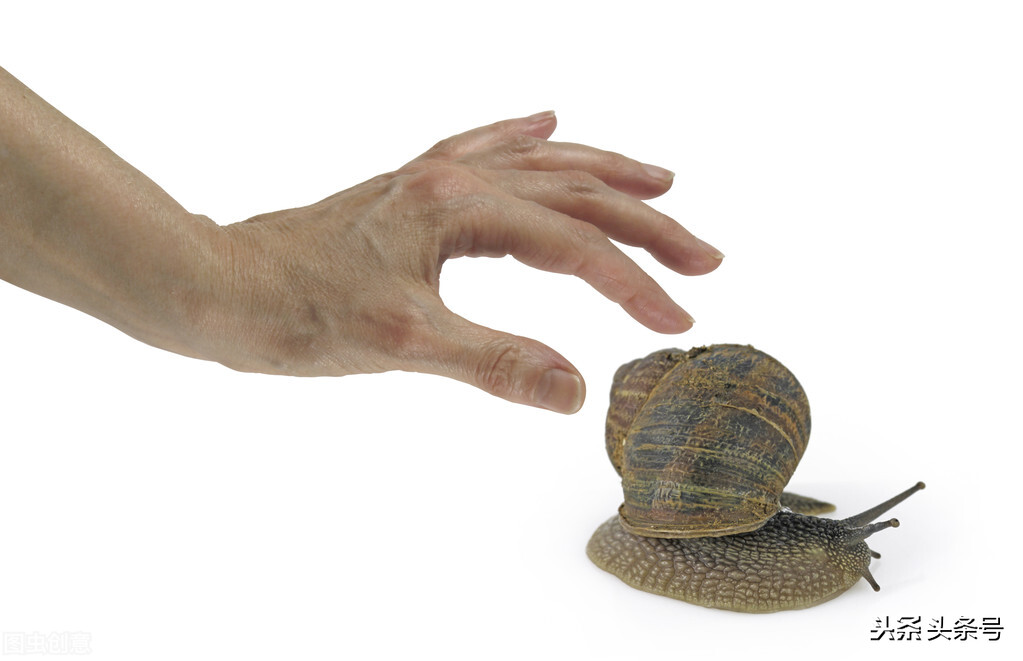 蜗牛的护肤品,所有蜗牛牌的护肤品