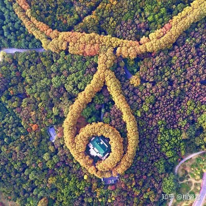 城市中难得的田园风景,城市难得一见的视频