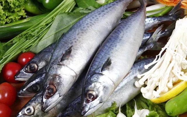 开海特价海鲜,开海的海鲜视频