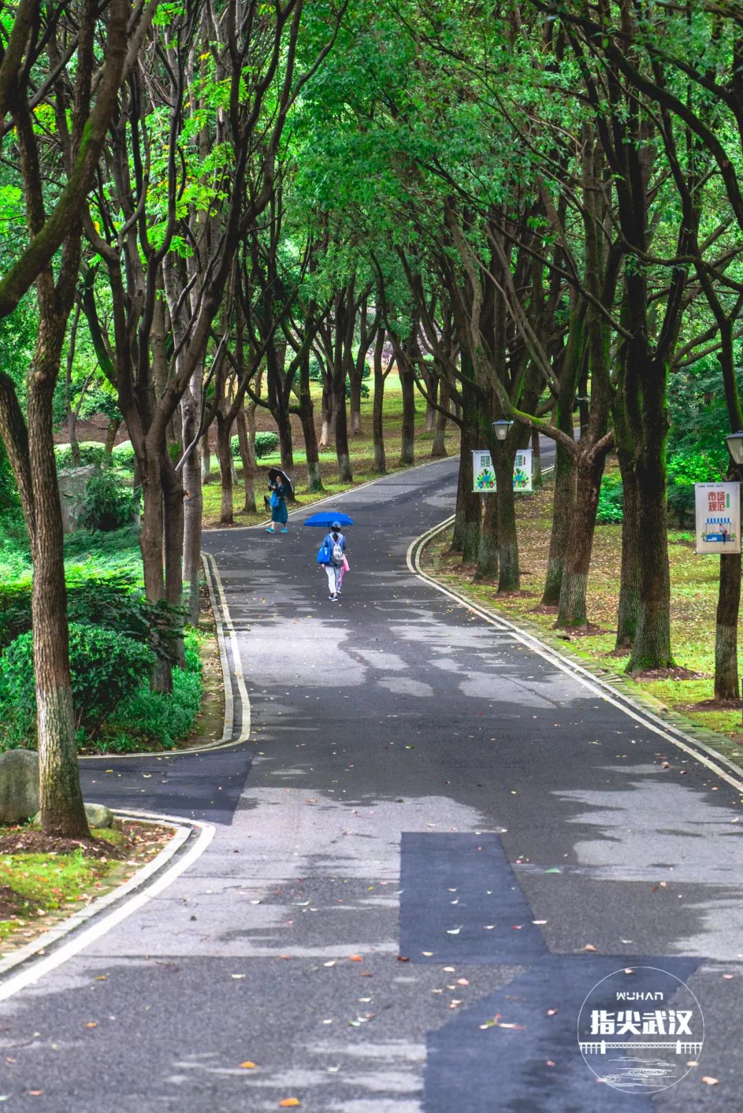 疫情过后带你看世界,疫情过后让我们重新认识一下