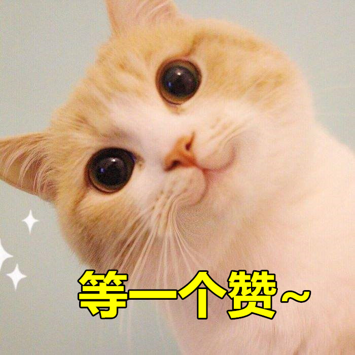 养猫必备三种药,养猫必备的5种药