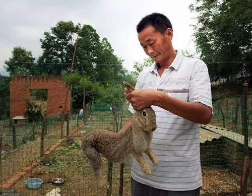 2020创业好项目投资小利润高,农村创业100个项目赚钱