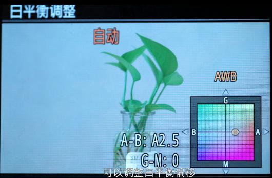 索尼微单相机拍视频技巧,索尼微单拍视频哪一款实用