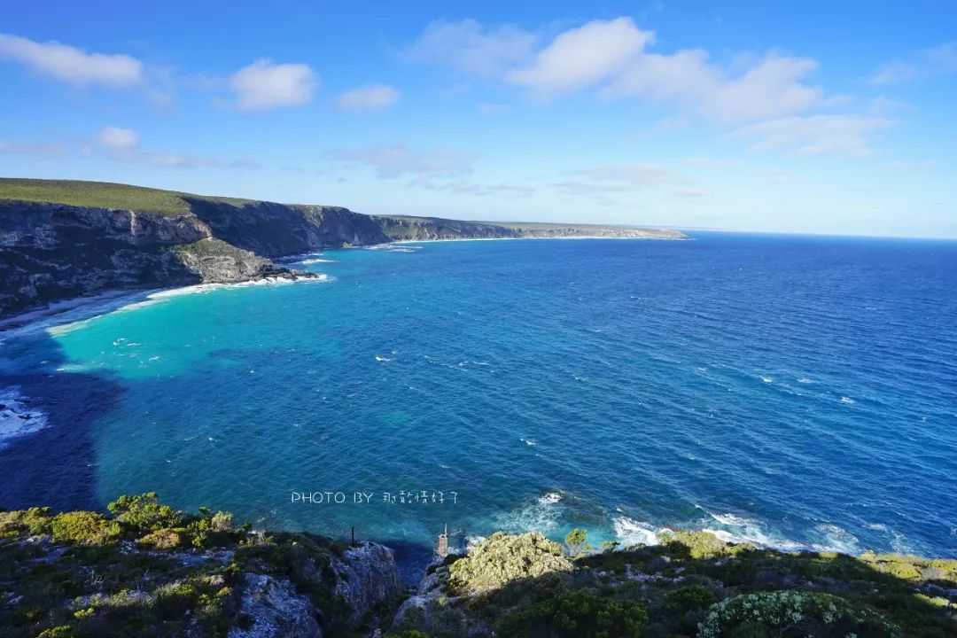 赴澳旅游注意，若带蜂蜜制品上岛，将被判两年监禁或8000澳元罚款