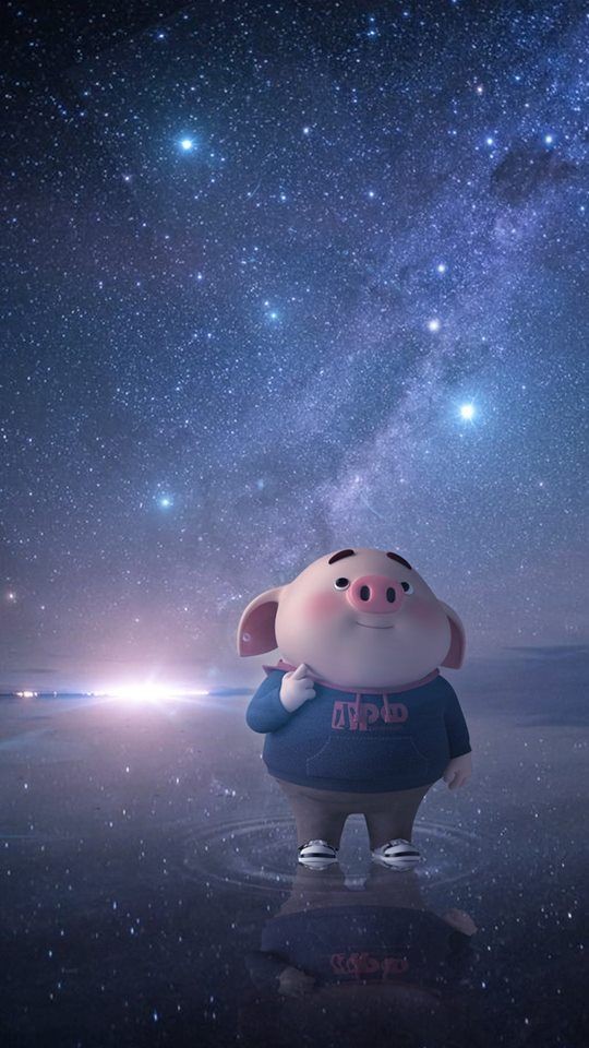 手机壁纸可爱猪猪,可爱情侣猪猪图片高清壁纸