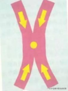 肌内贴测评,李宁国货引发争议