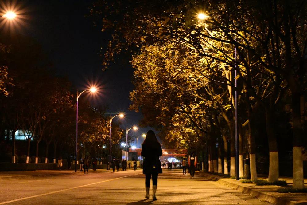 校园表白最佳方式,校园女生怎么表白立马成功