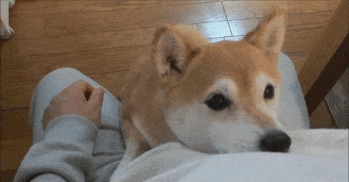 清洗洗菜盆油污妙招,如何清洗洗菜池中的污垢