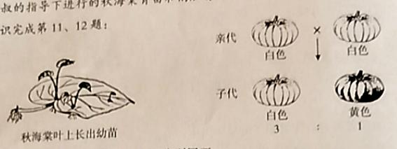 初中生物学业水平考试电子版,初中生物学业水平考试质量分析