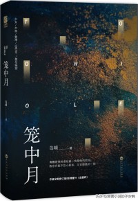 大叔文小说推荐100篇,大叔文小说推文一口气已完结