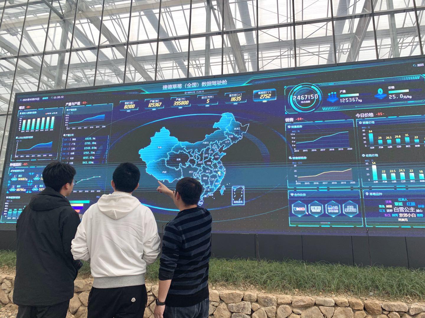 杨村草莓园,杨村桥今年草莓苗价格