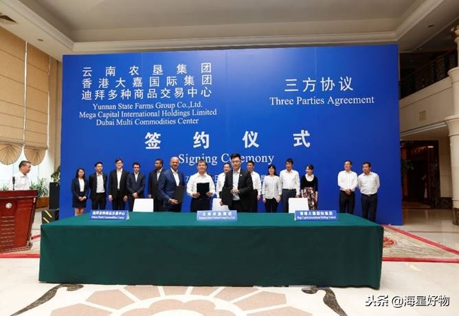 海星好物好吗,海星好物值得买吗