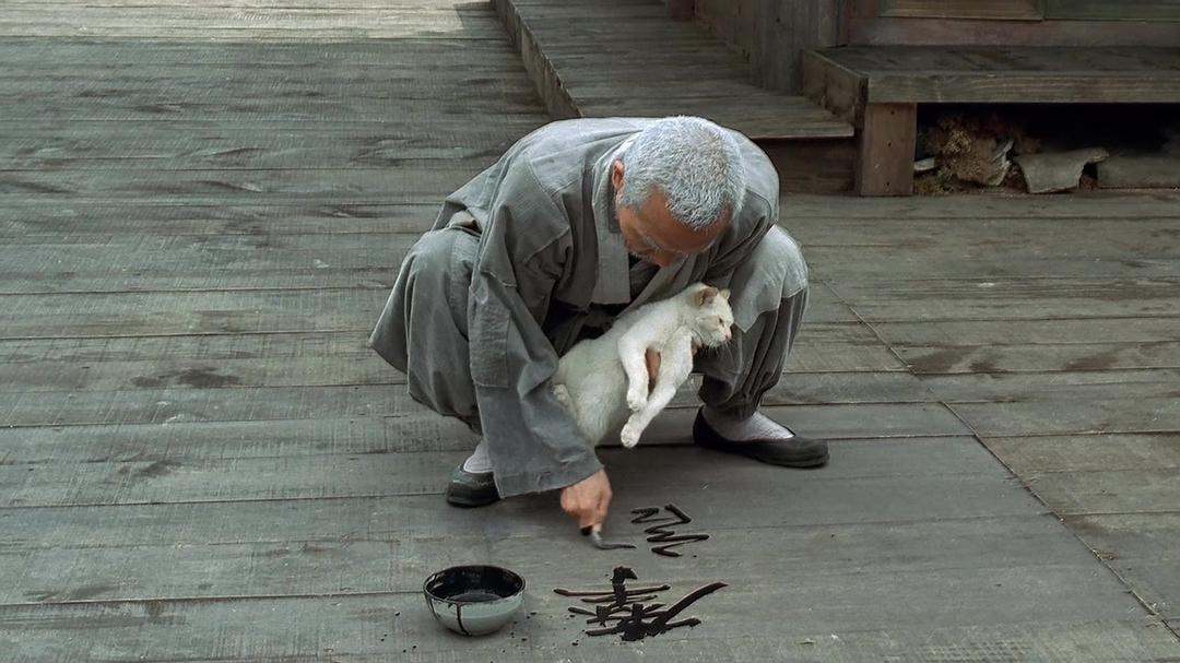 人生的四季是春天,春夏秋冬又一春对四季的理解