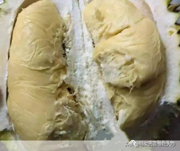 马来西亚榴莲品种大全,马来西亚d14榴莲是什么品种