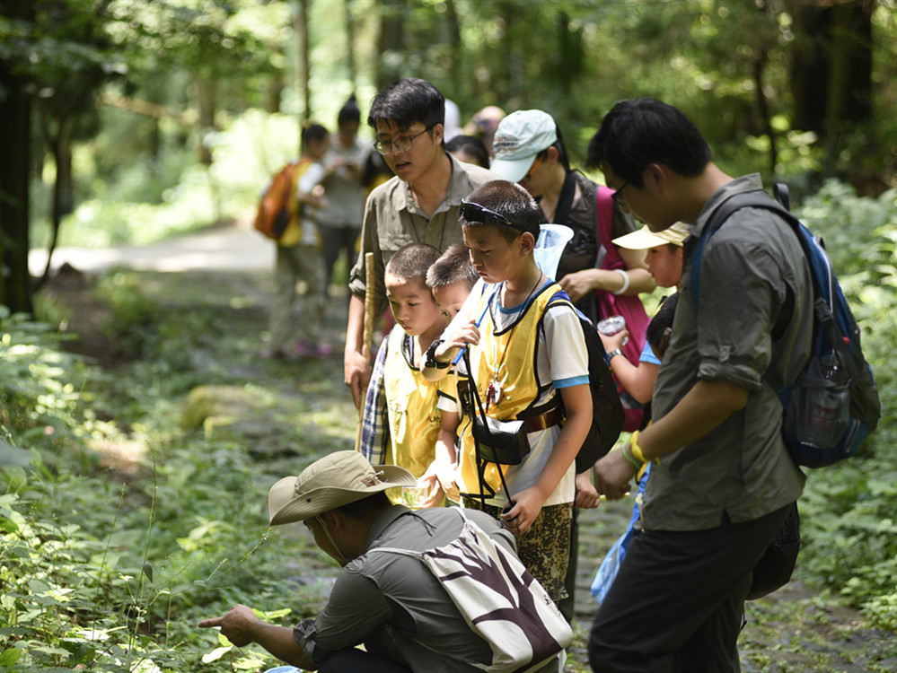 卢梭教育思想分析,卢梭的教育思想对当今教育的启示
