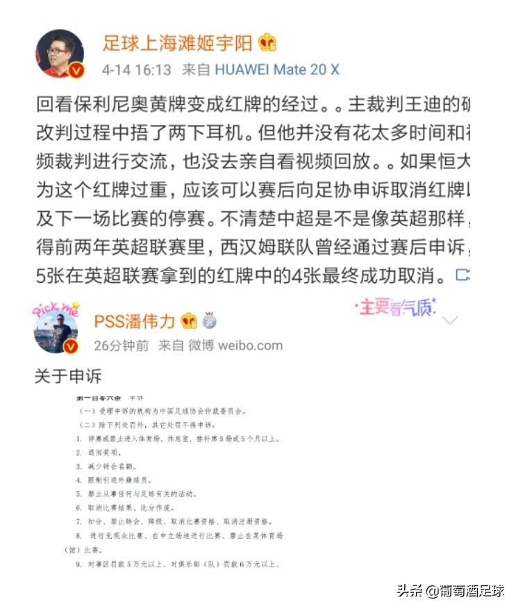 保利尼奥肘击足协会怎么处罚,保利尼奥犯规
