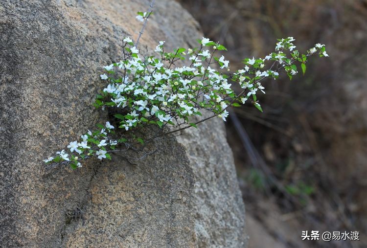 易县八百山,易县一日游太行水镇