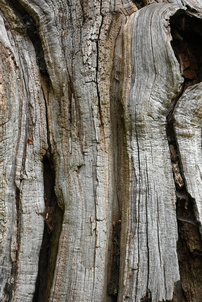 尼康zdx16-50镜头适合拍什么,尼康zdx16-50