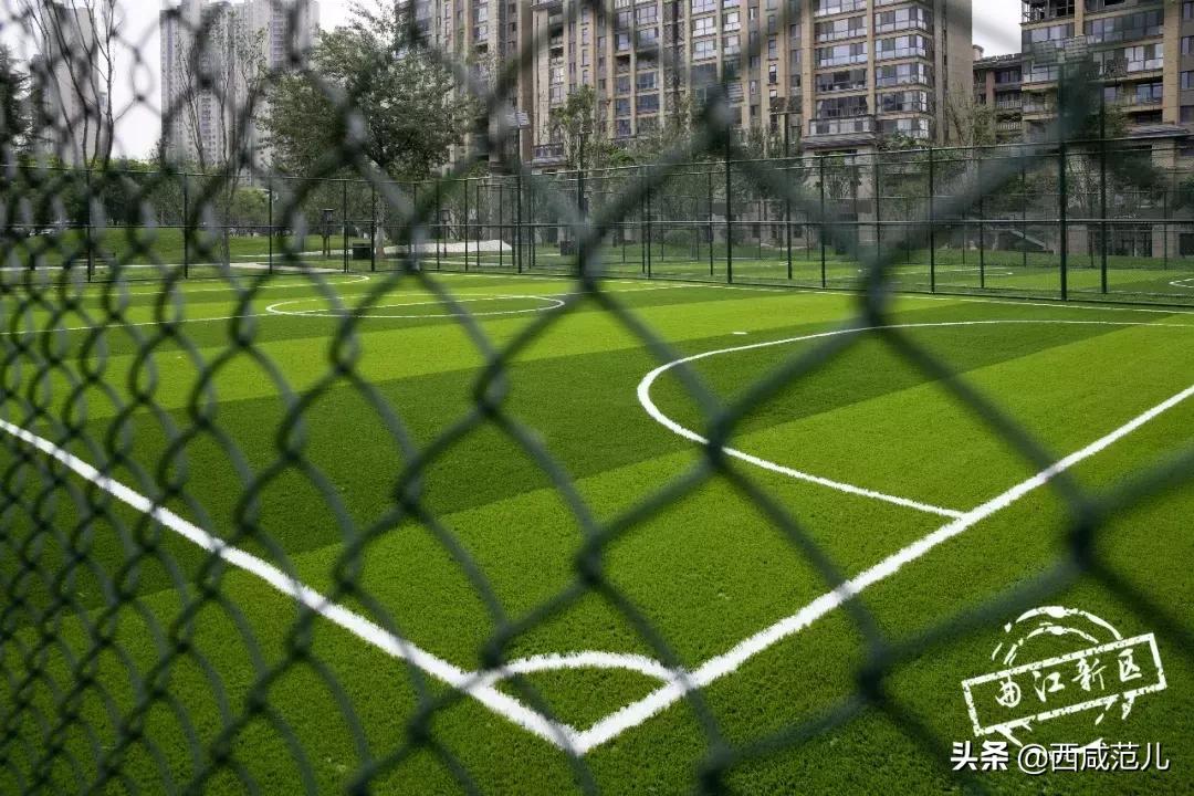 西安生态公园十一开园,西安秦岭四宝科学公园开园