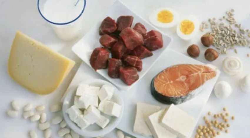 索队聊补剂:BCAA真的是鸡肋吗?去伪求真一篇说透