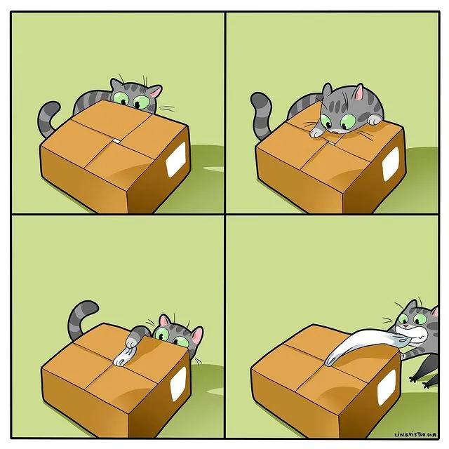 沙雕猫片，笑到床塌！自从做了卑微的铲屎官，比一个人时刺激多了