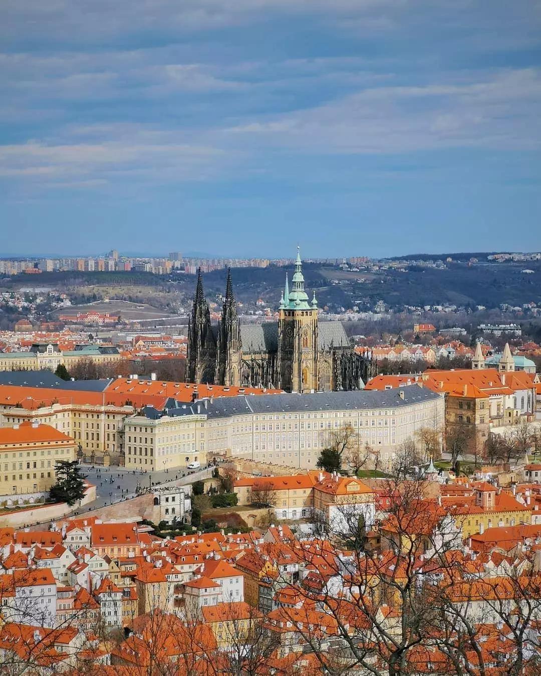 施华洛世奇花漾魔力寓意 (施华洛世奇的花样魔力)