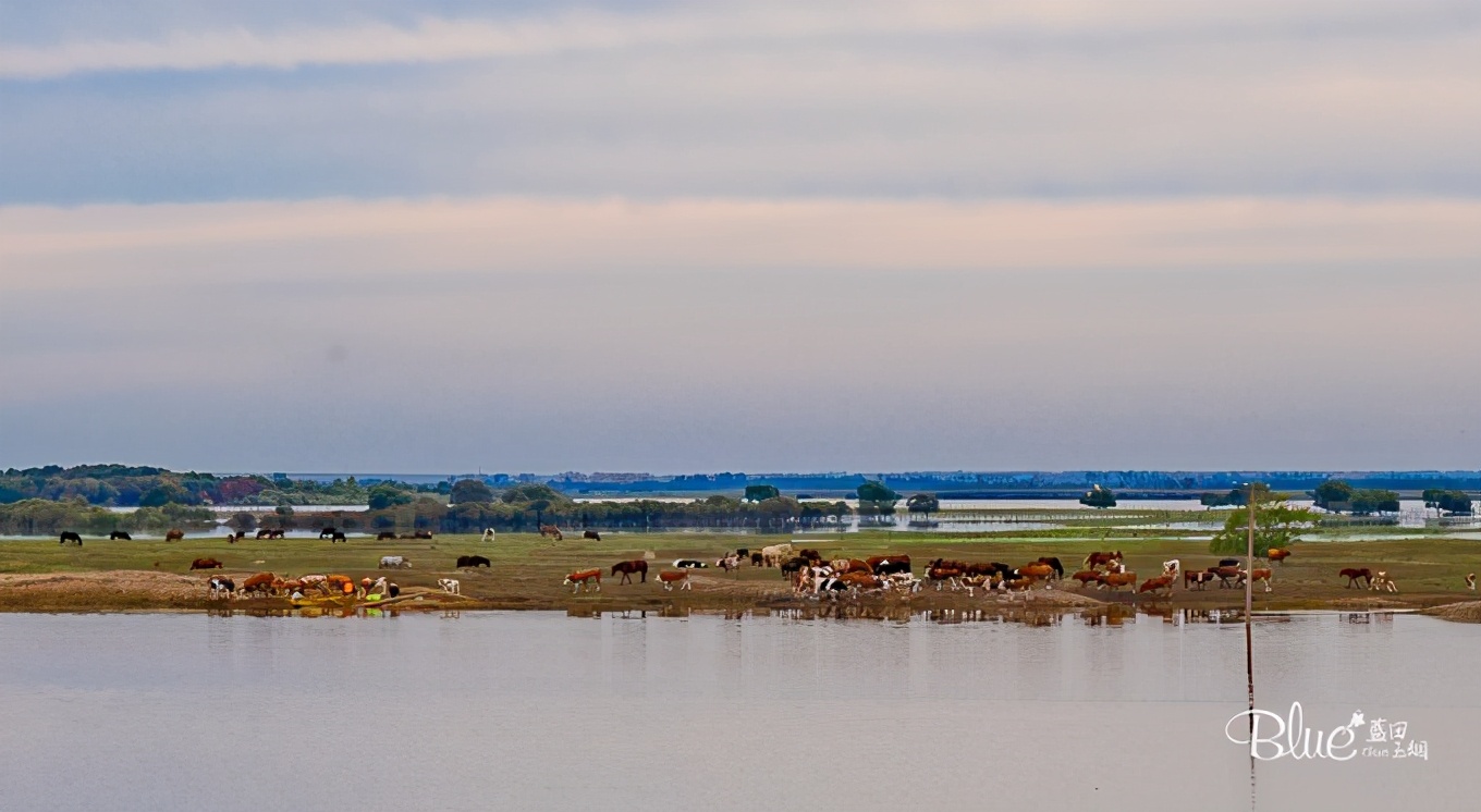 从漠河自驾到抚远镇,漠河至丹东自驾g331攻略