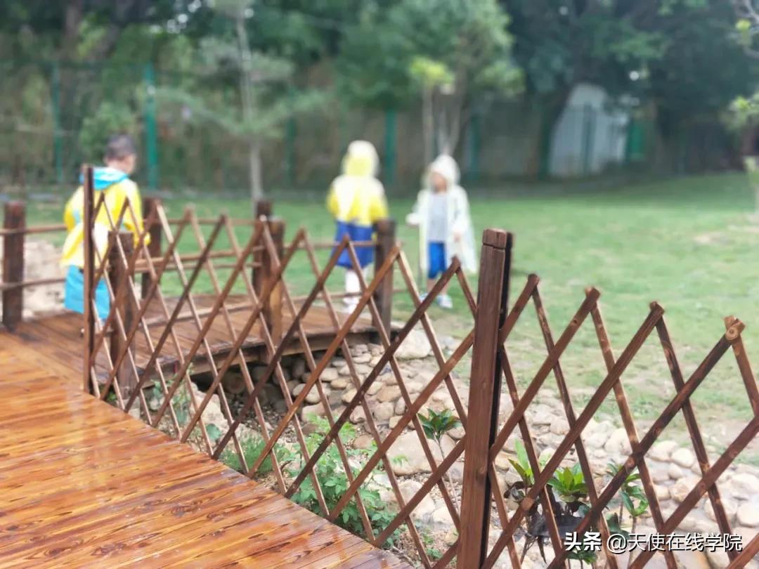 华德福教育与现代教育,华德福教育和蒙氏教育的区别