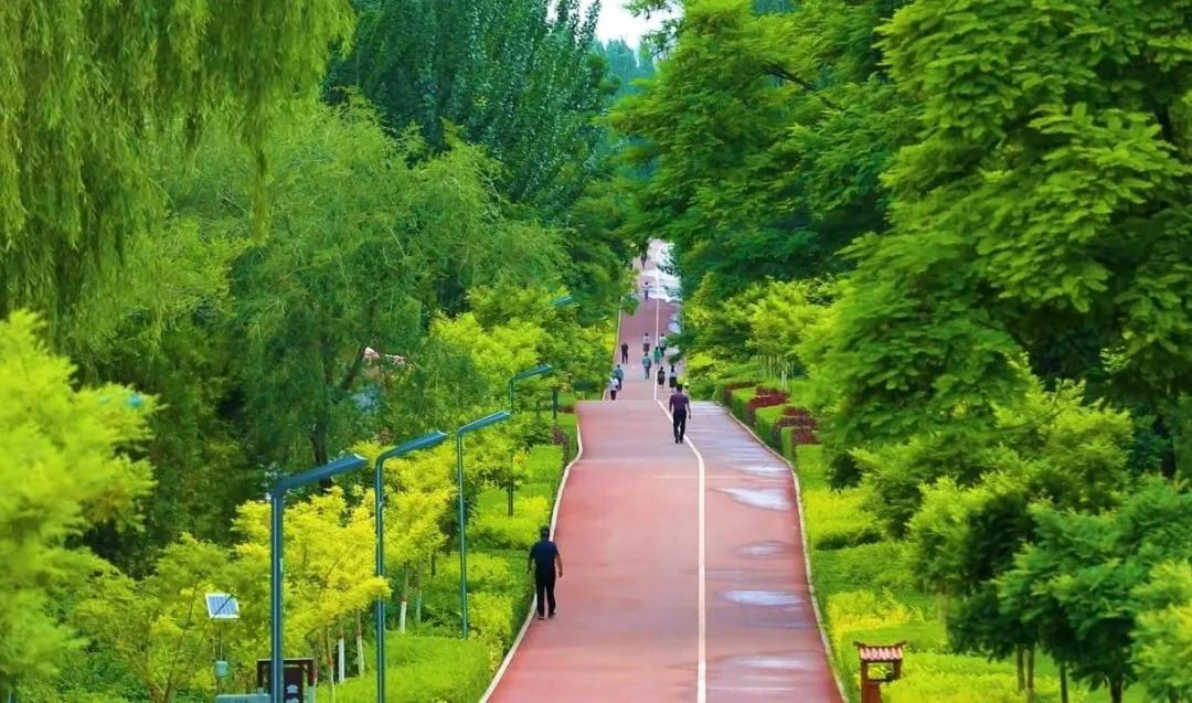 白银市党代会报告全文,白银区第十五届人代会