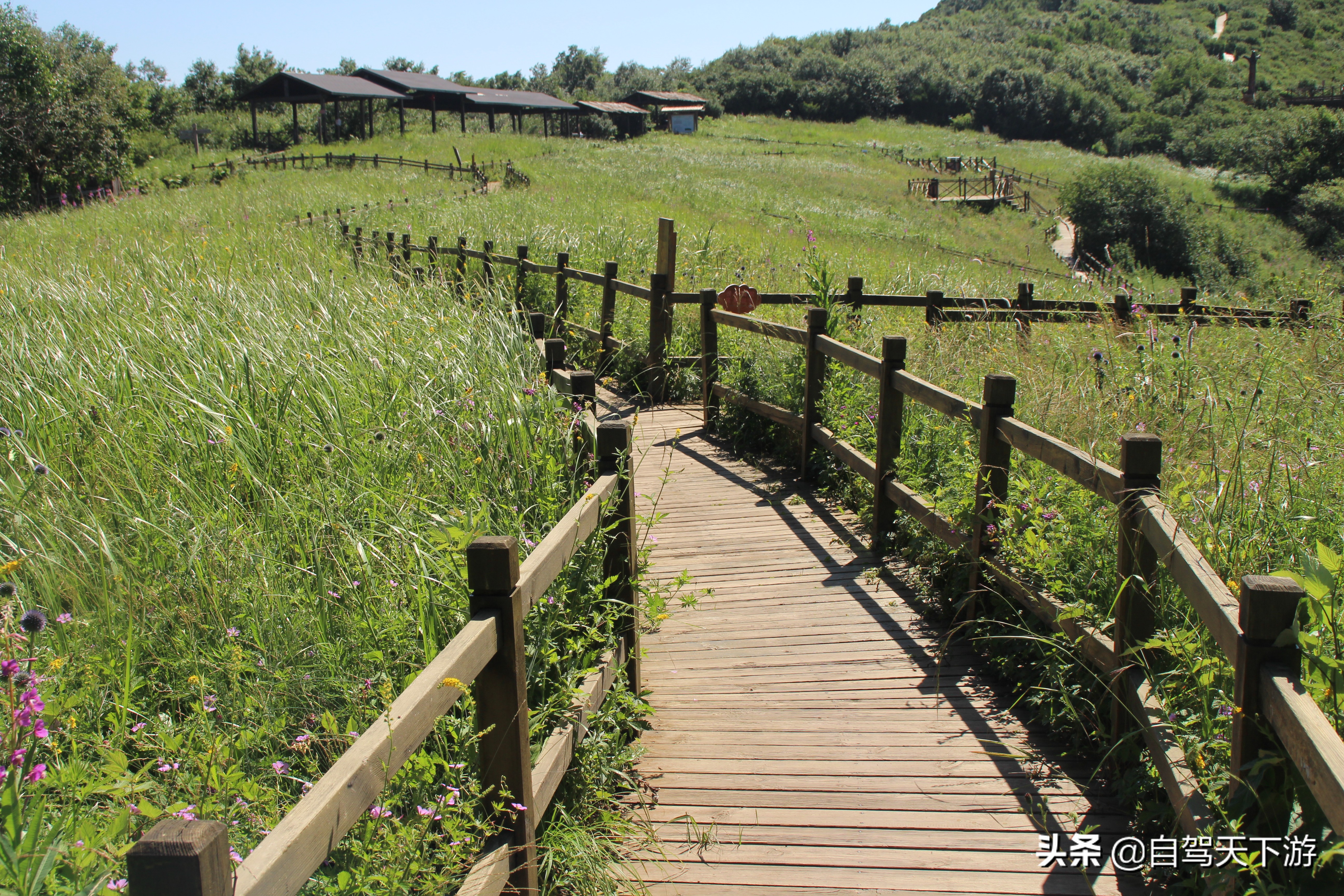 野三坡白草畔攻略,野三坡白草畔自驾游